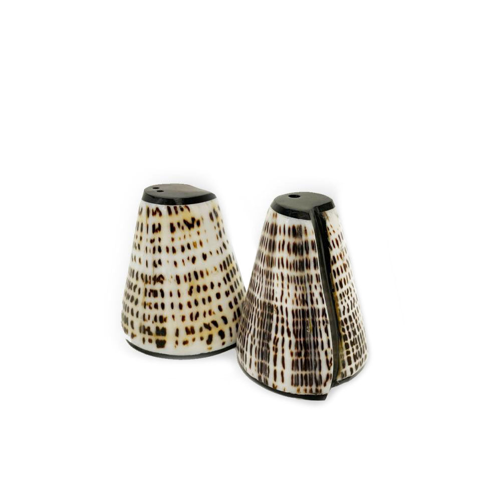 Set of 2 Salt & Pepper Shakers in Natural Shell