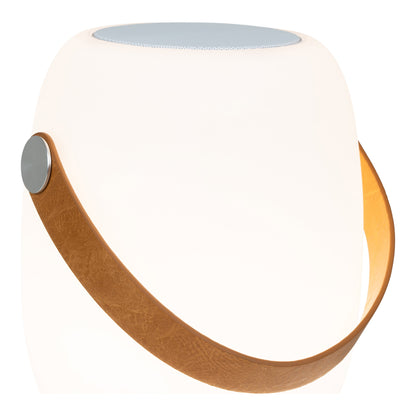 Cardiff LED Lamp with Bluetooth Speaker, White — 21 cm