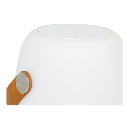 Cardiff LED Lamp with Bluetooth Speaker, White — 21 cm