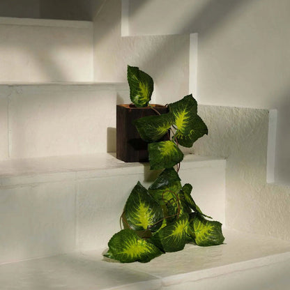 Soporte Bondi n.º 2 - Teca Cuadrado